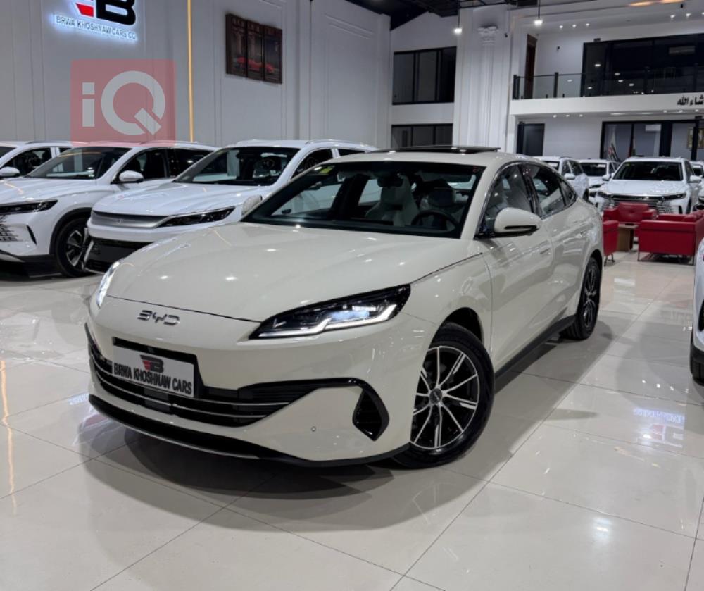 بي واي دي سيل 06 DM-i